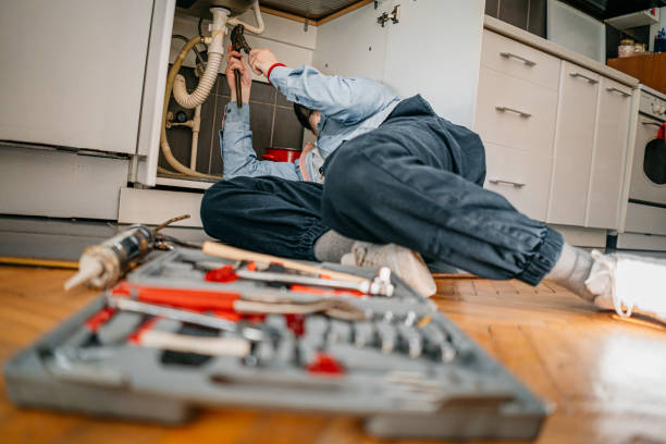 Best Same-Day Plumbing Service  in La Puebla, NM
