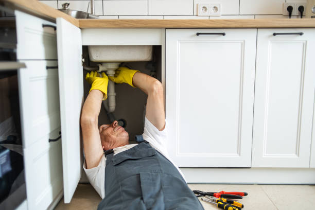 Best Septic Systems  in La Puebla, NM